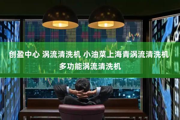 创盈中心 涡流清洗机 小油菜上海青涡流清洗机 多功能涡流清洗机