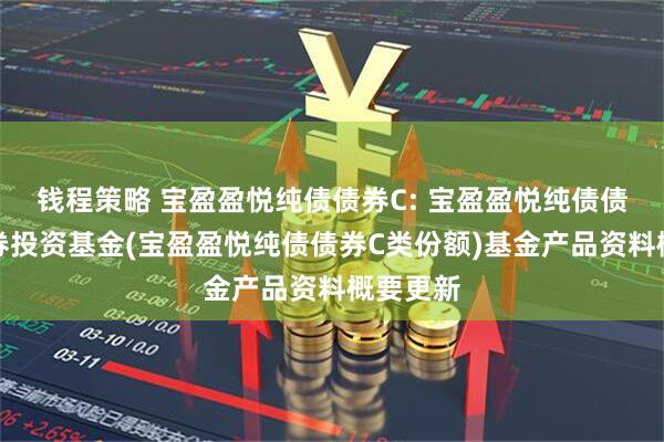 钱程策略 宝盈盈悦纯债债券C: 宝盈盈悦纯债债券型证券投资基金(宝盈盈悦纯债债券C类份额)基金产品资料概要更新