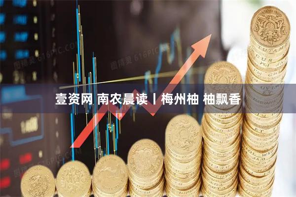 壹资网 南农晨读丨梅州柚 柚飘香