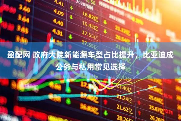 盈配网 政府大院新能源车型占比提升，比亚迪成公务与私用常见选择