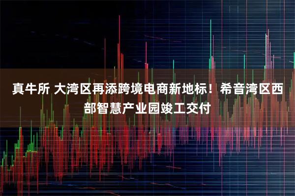 真牛所 大湾区再添跨境电商新地标！希音湾区西部智慧产业园竣工交付