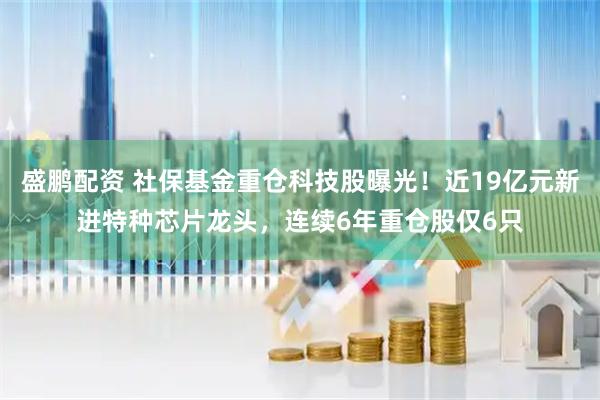 盛鹏配资 社保基金重仓科技股曝光！近19亿元新进特种芯片龙头，连续6年重仓股仅6只