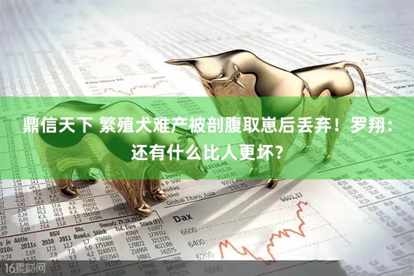 鼎信天下 繁殖犬难产被剖腹取崽后丢弃！罗翔：还有什么比人更坏？