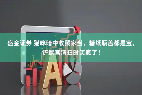 盛金证券 猫咪暗中收藏家当，糖纸瓶盖都是宝，铲屎官清扫时笑疯了！