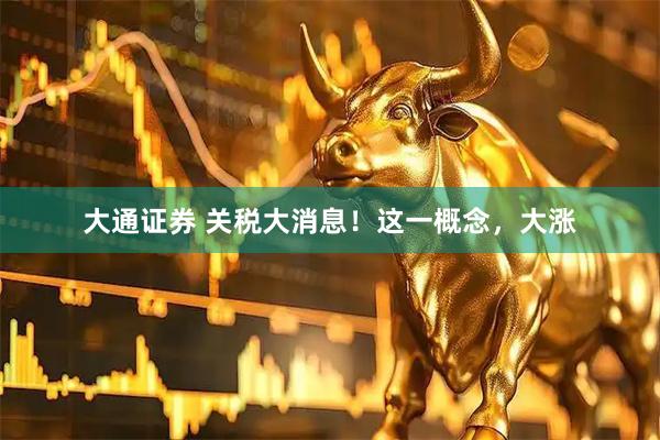 大通证券 关税大消息！这一概念，大涨